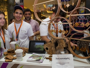 Επιχειρηματικότητα - Σχολική Χρονιά 2015 - 2016