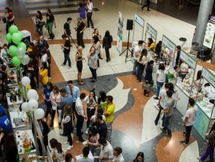 Επιχειρηματικότητα - Σχολική Χρονιά 2015 - 2016